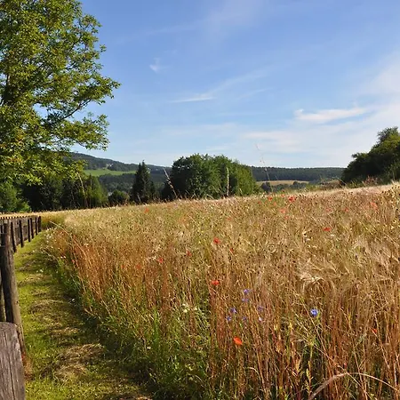 Haus Hippelstein * Gönnersdorf