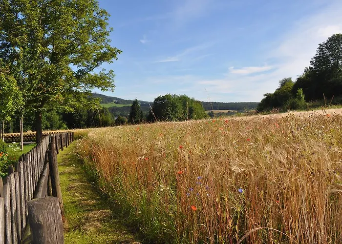 Haus Hippelstein * Gönnersdorf